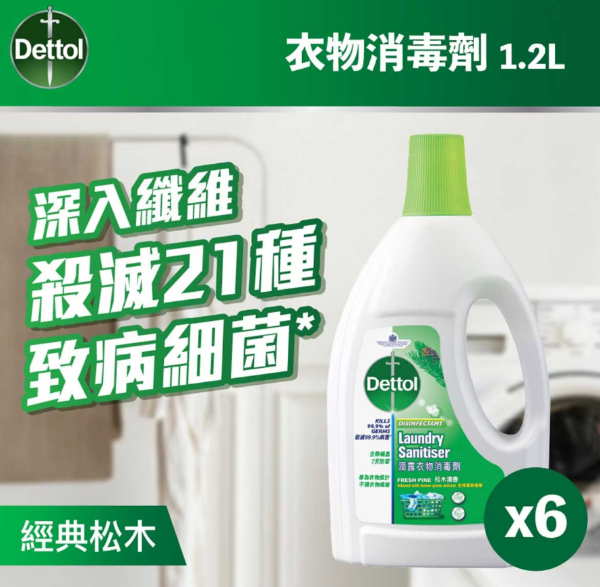 圖片 滴露衣物消毒劑１.２公升(經典松木)６支裝 (原箱)